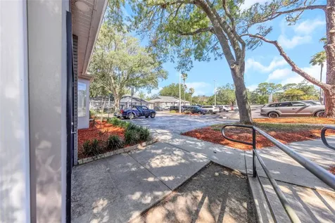 14517 Bruce B Downs Boulevard Tampa FL 33613