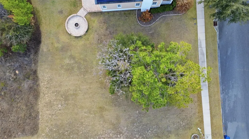 3516 Haynes Pass Minneola FL 34715