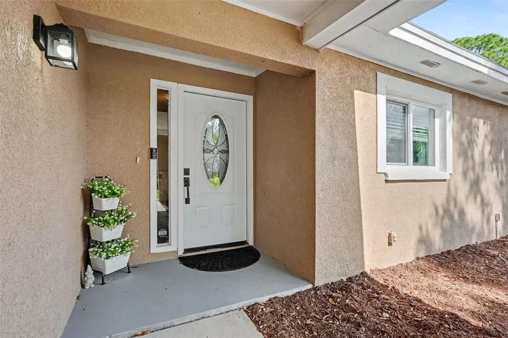 2209 Sherbrook Drive Valrico FL 33594