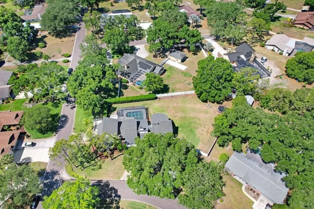 15306 Lake Maurine Drive Odessa FL 33556