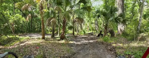 0 Paul S Buchman Highway Zephyrhills FL 33540