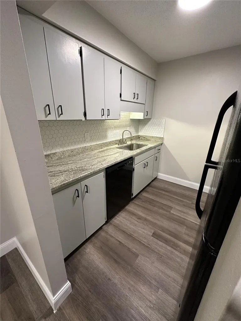 165 Picardy Villa Circle Brandon FL 33510