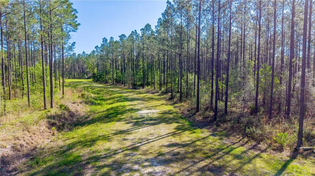 Tbd NW 57th Lane Starke FL 32091