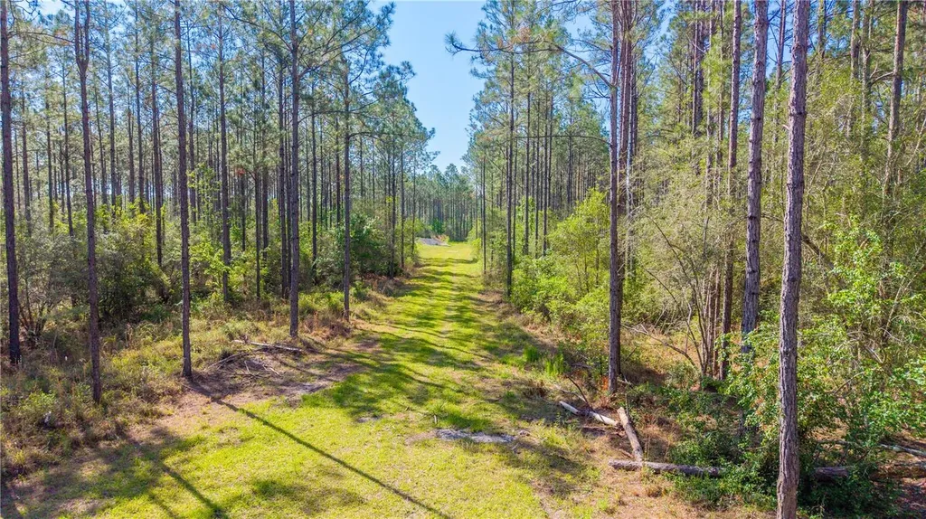 Tbd NW 57th Lane Starke FL 32091