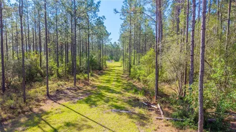 Tbd NW 57th Lane Starke FL 32091