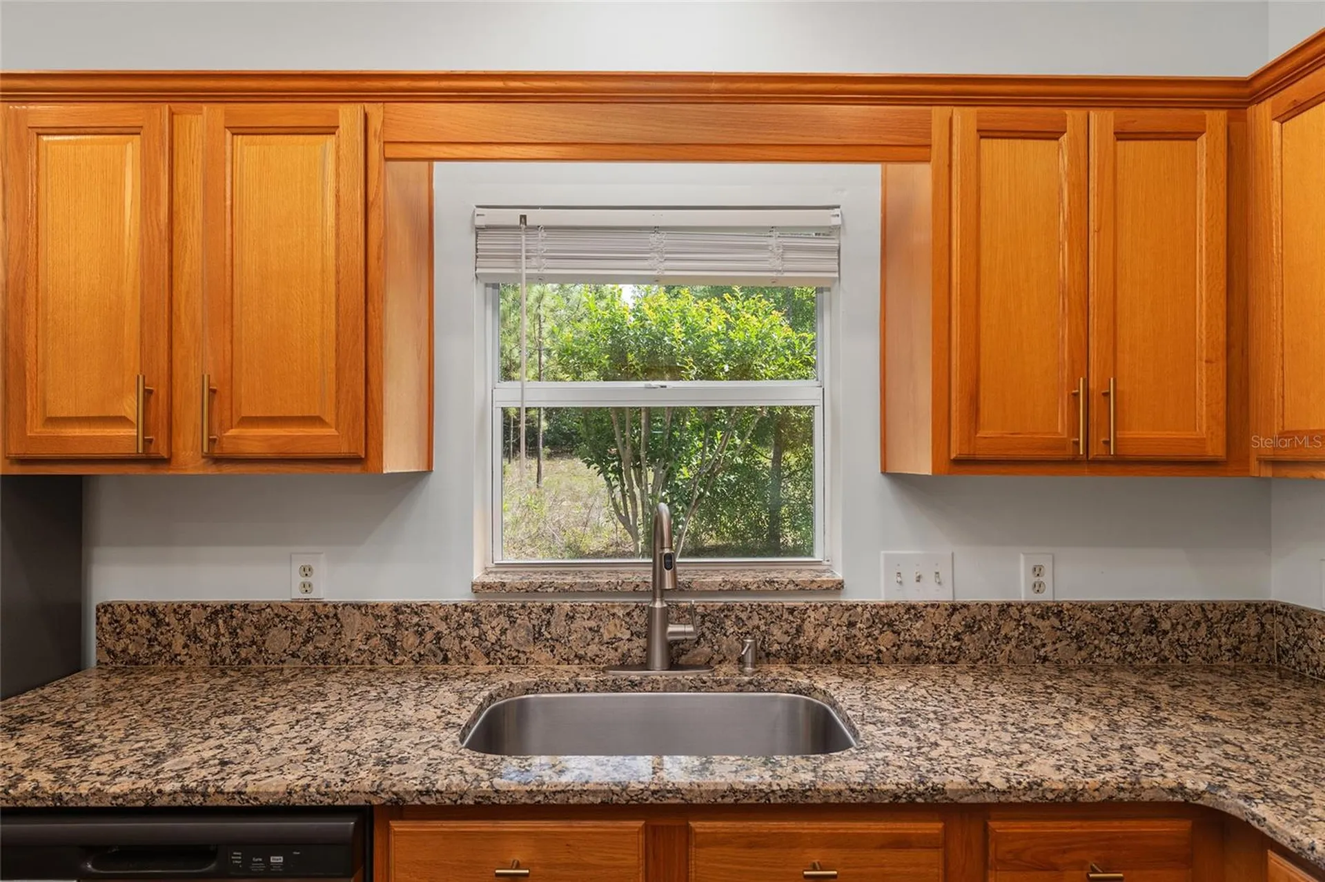 19939 SW 93rd Lane Dunnellon FL 34432