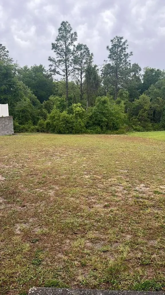 13371 SW 88th Terrace Ocala FL 34473