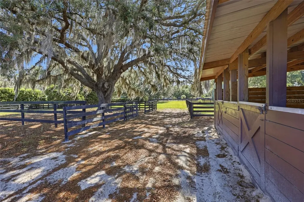 9700 SW 67th Terrace Ocala FL 34476