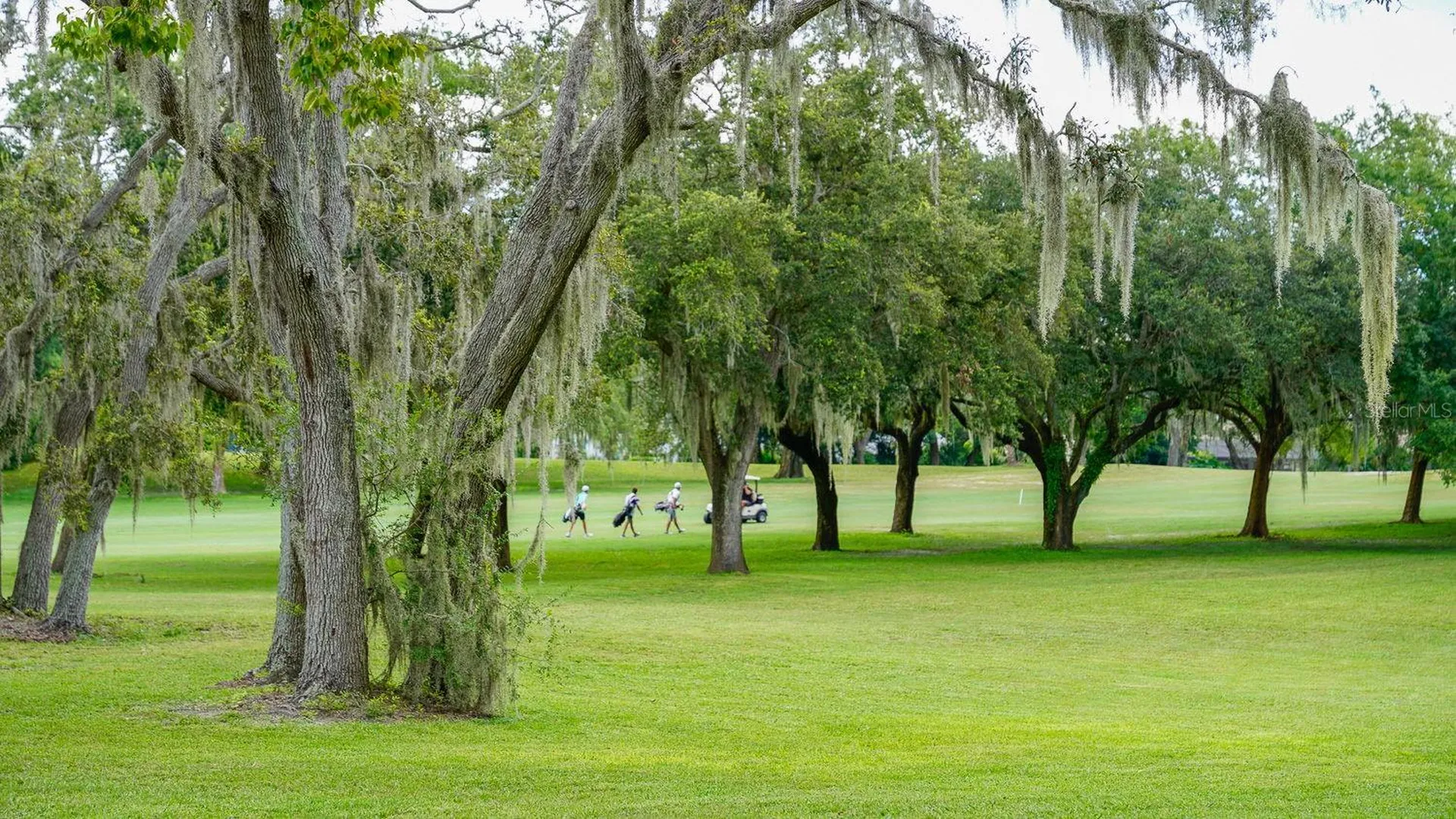 8141 Golf Club Court Hudson FL 34667