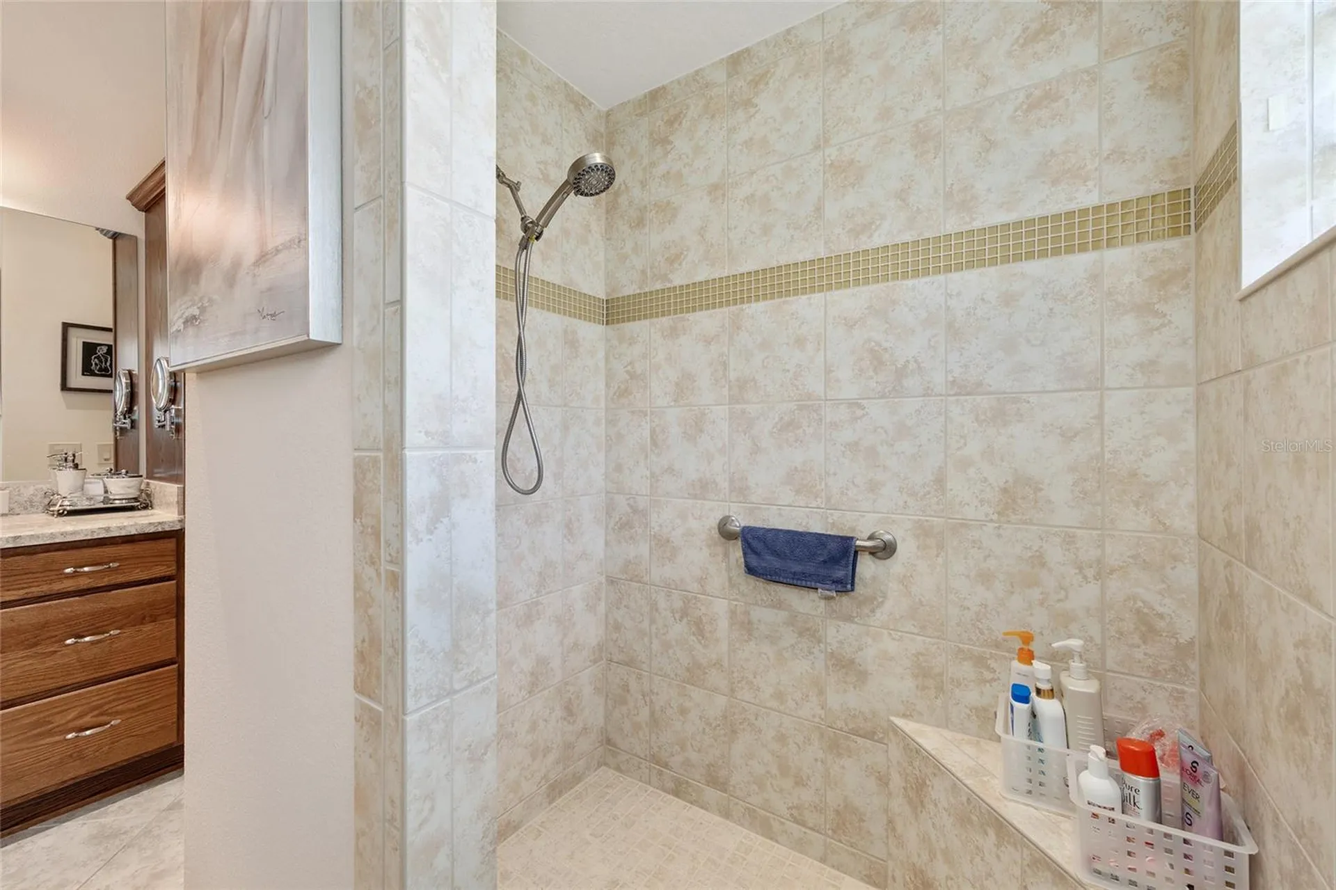 1440 Alesio Street The Villages FL 32163
