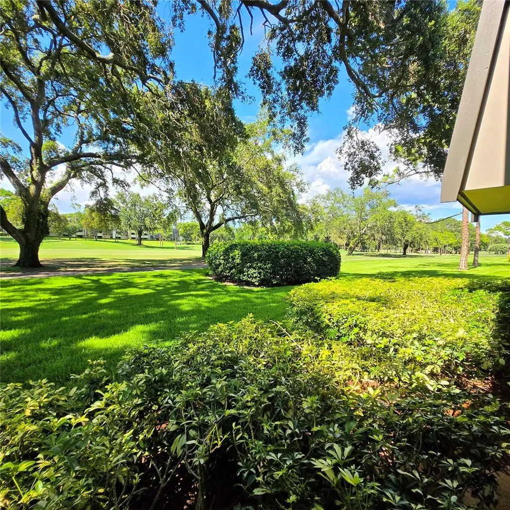 36750 Us Highway 19 N Palm Harbor FL 34683