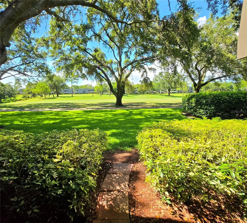36750 Us Highway 19 N Palm Harbor FL 34683
