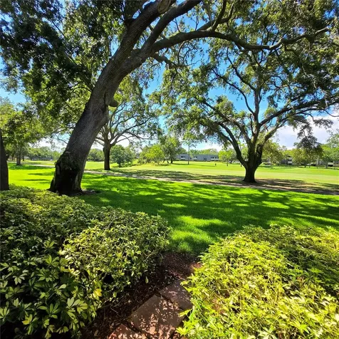 36750 Us Highway 19 N Palm Harbor FL 34683
