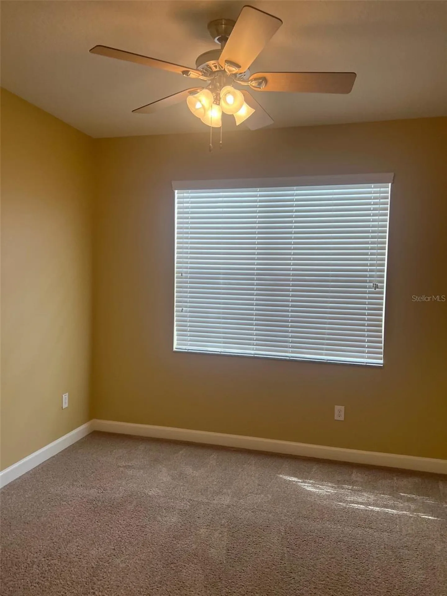 2502 Cumberland Cliff Drive Ruskin FL 33570