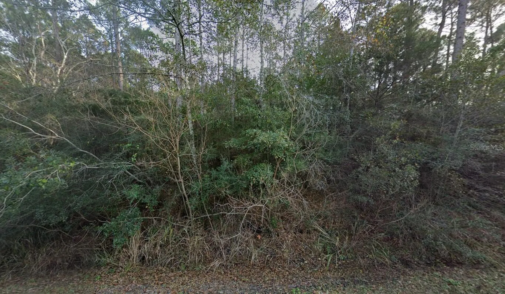 5811 Shady Bayou Lane Milton FL 32583
