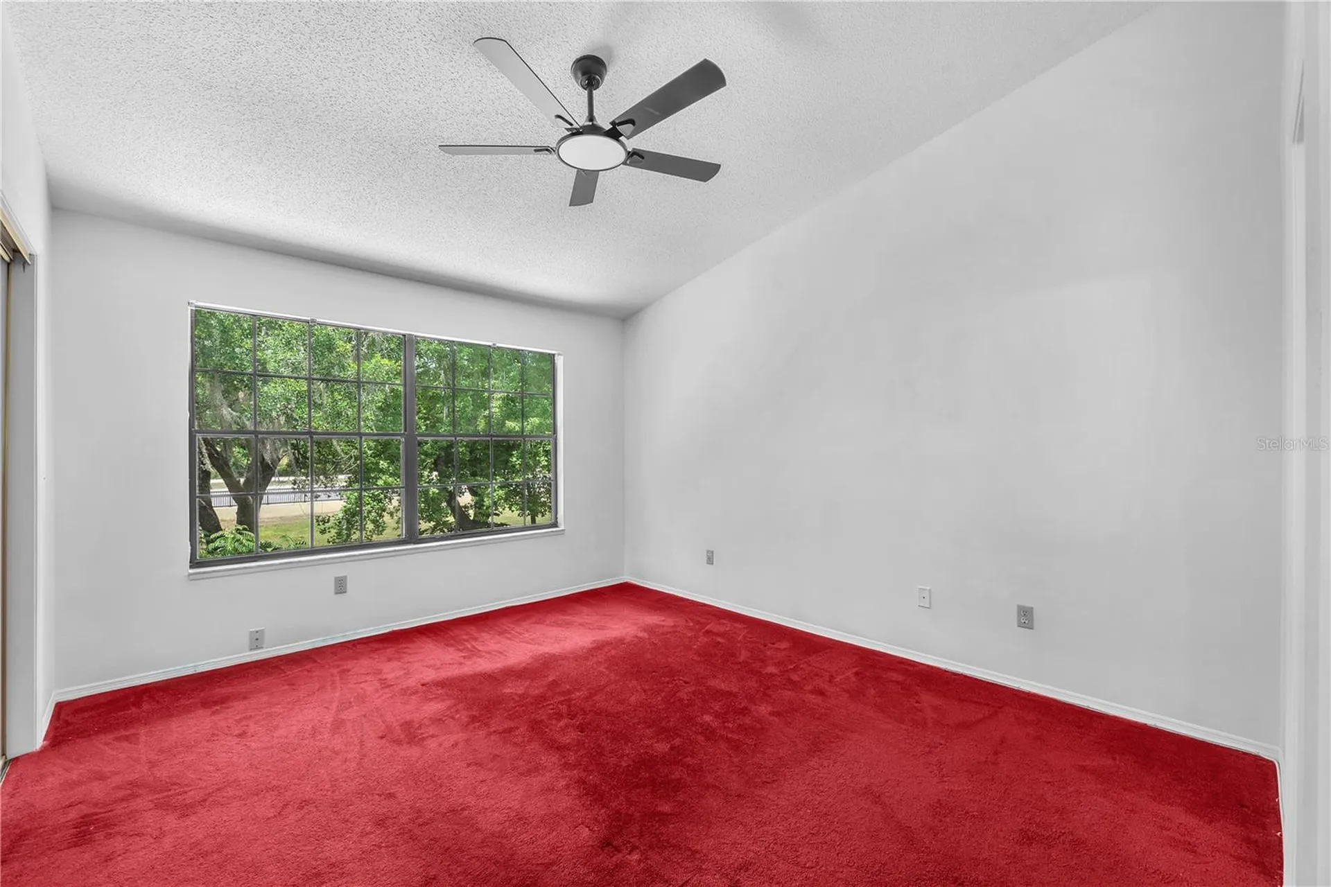 5100 Burchette Road Tampa FL 33647