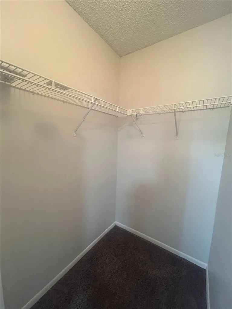 5224 Florida Holly Drive Orlando FL 32811
