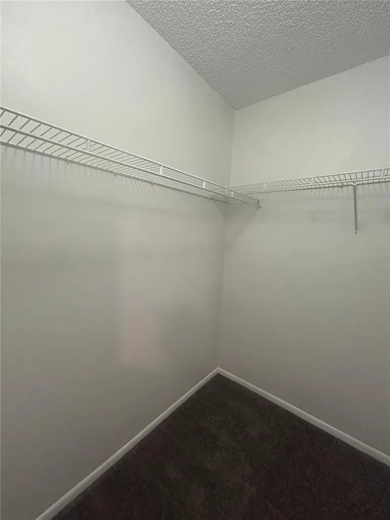 5224 Florida Holly Drive Orlando FL 32811