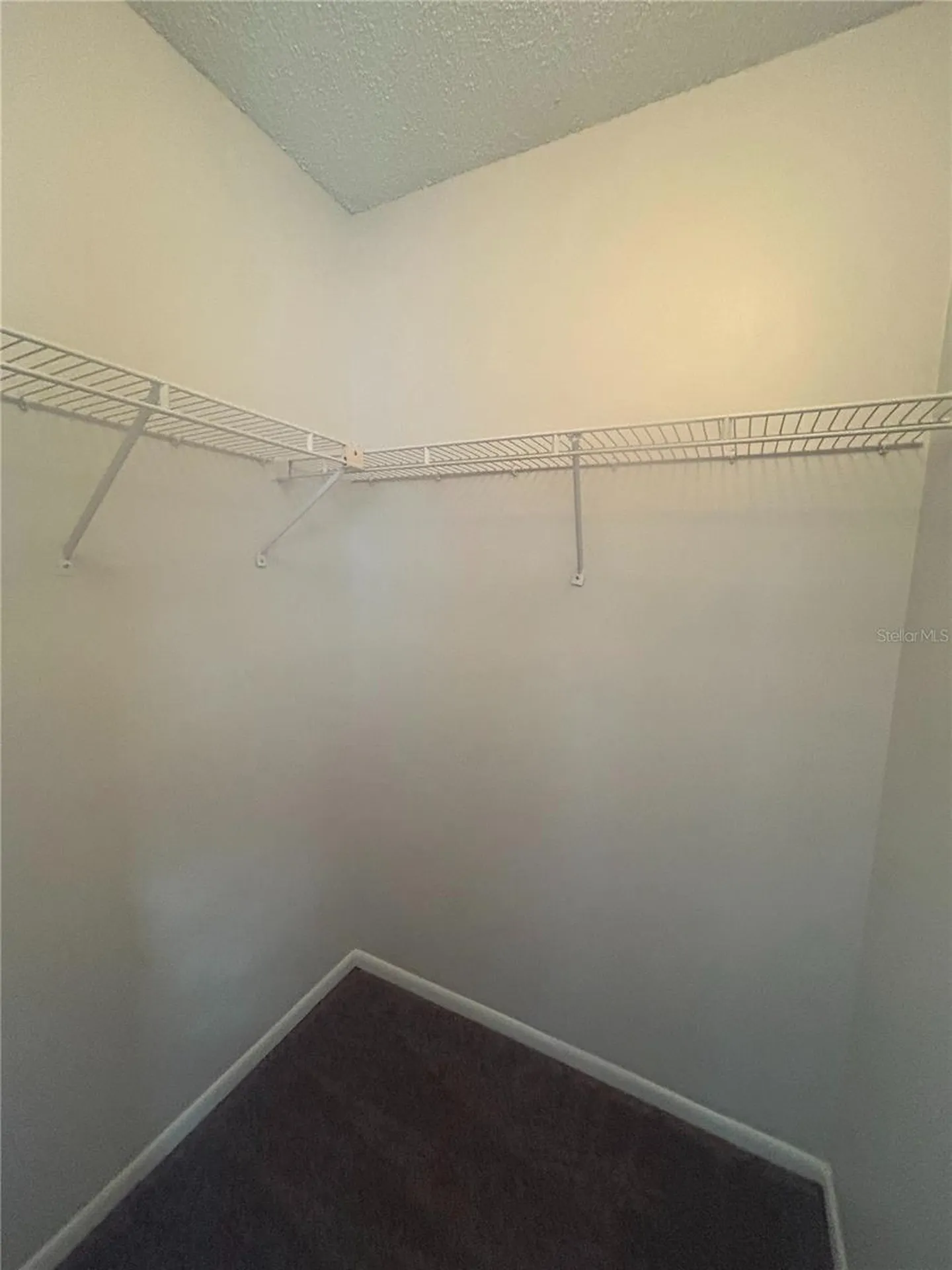 5224 Florida Holly Drive Orlando FL 32811