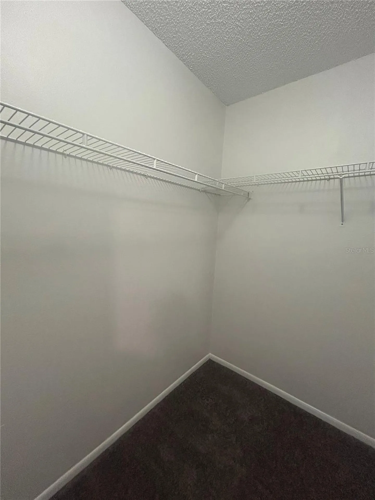 5224 Florida Holly Drive Orlando FL 32811