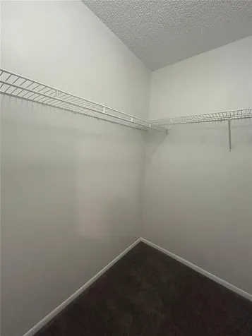 5224 Florida Holly Drive Orlando FL 32811