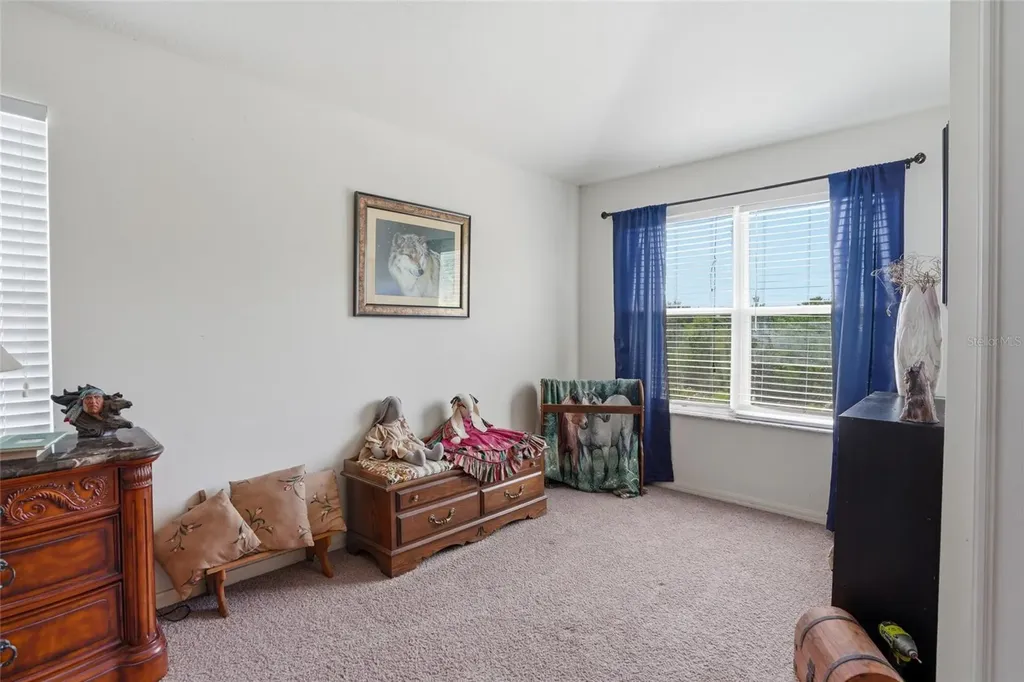 9643 Asbel Estates Street Land O Lakes FL 34638