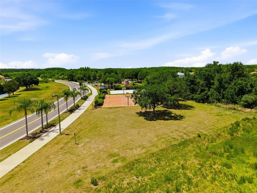 9643 Asbel Estates Street Land O Lakes FL 34638