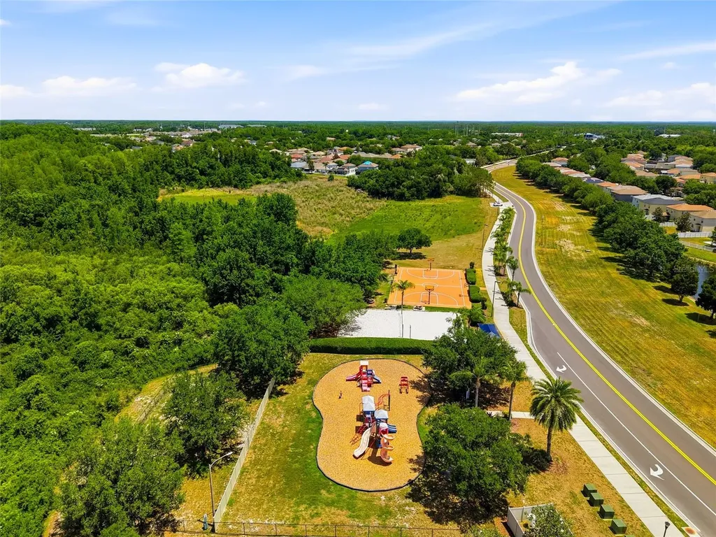 9643 Asbel Estates Street Land O Lakes FL 34638