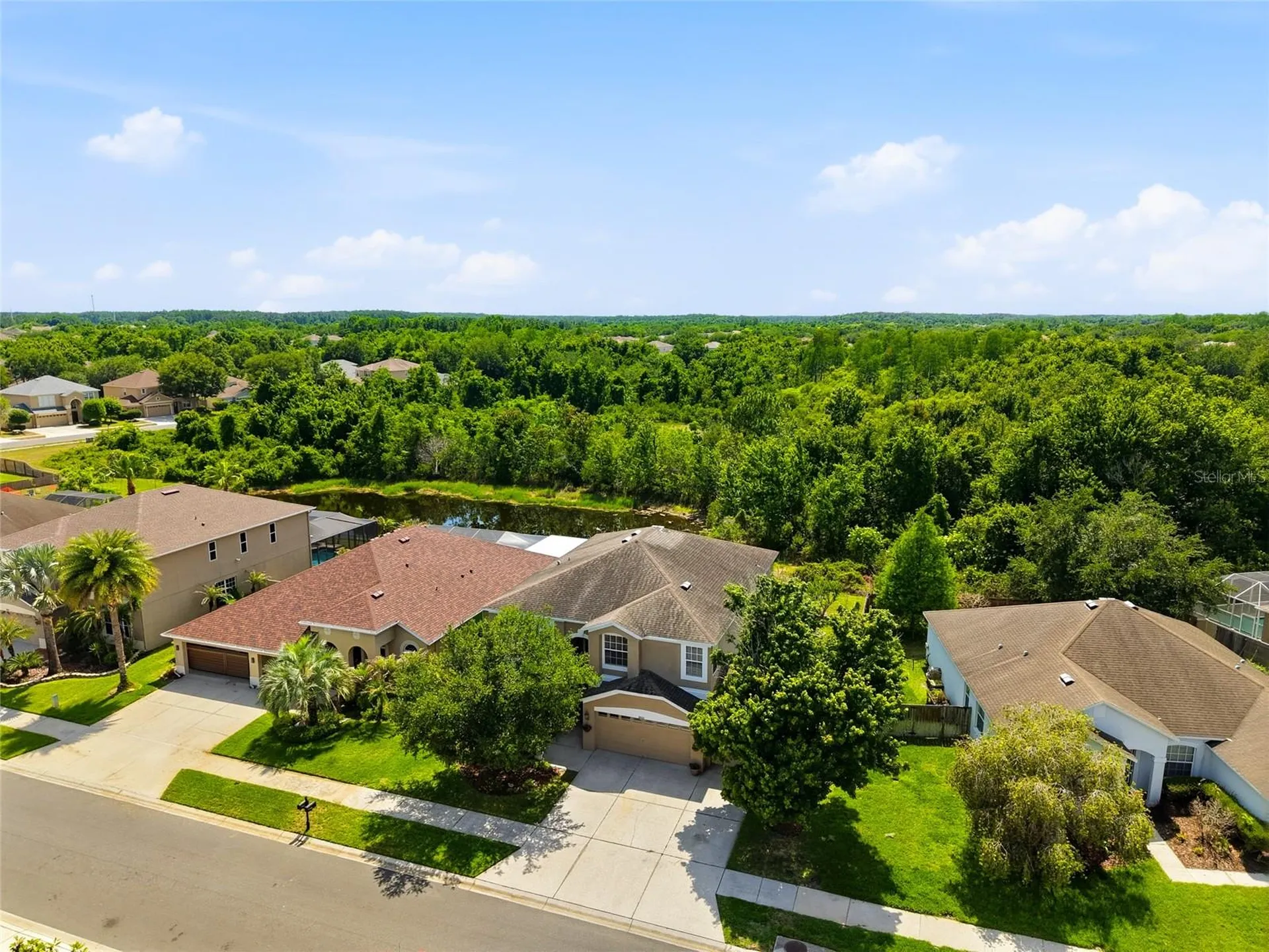 9643 Asbel Estates Street Land O Lakes FL 34638