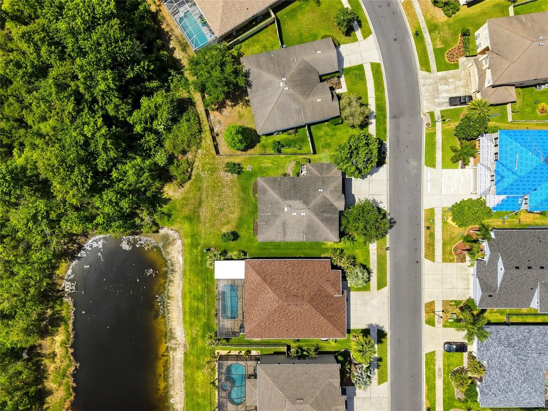 9643 Asbel Estates Street Land O Lakes FL 34638
