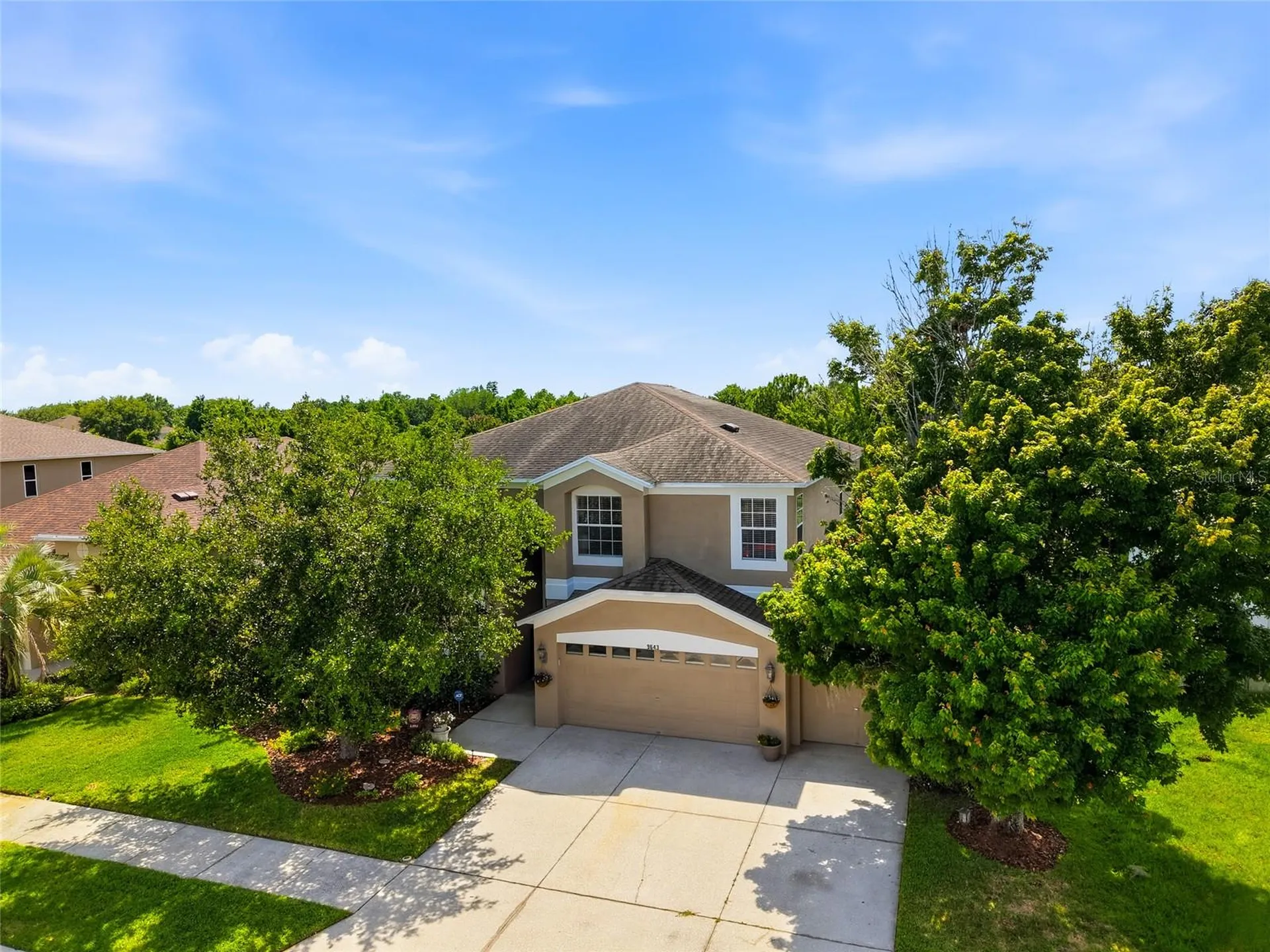 9643 Asbel Estates Street Land O Lakes FL 34638