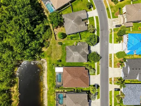 9643 Asbel Estates Street Land O Lakes FL 34638