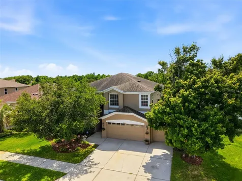 9643 Asbel Estates Street Land O Lakes FL 34638