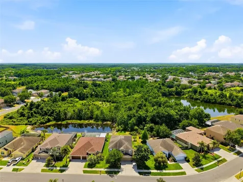 9643 Asbel Estates Street Land O Lakes FL 34638
