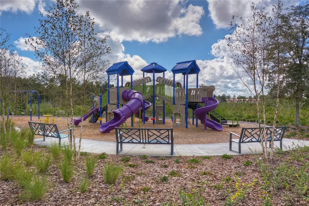 5460 Warrington Town Path Wesley Chapel FL 33545