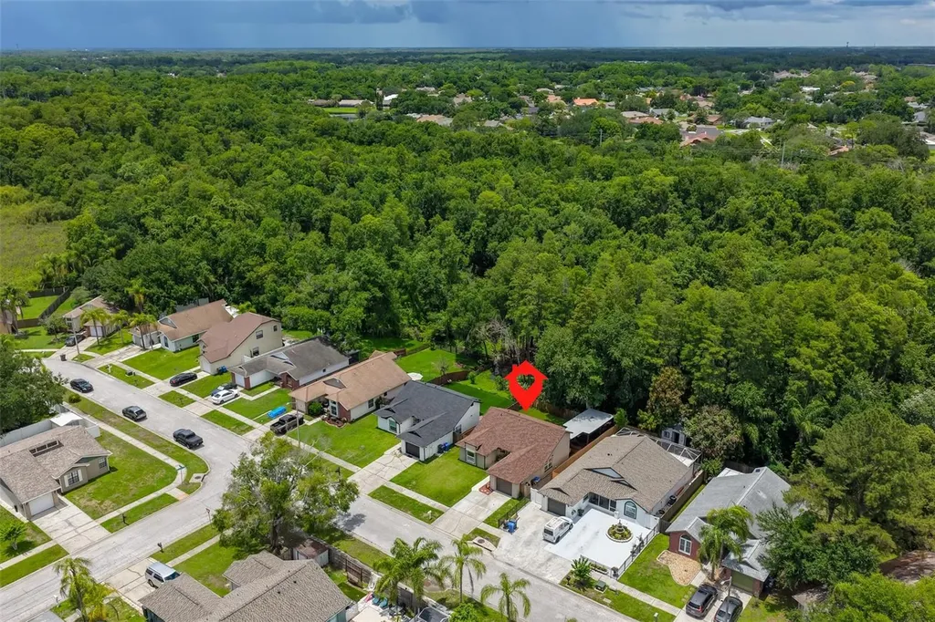 12832 Coverdale Drive Tampa FL 33624