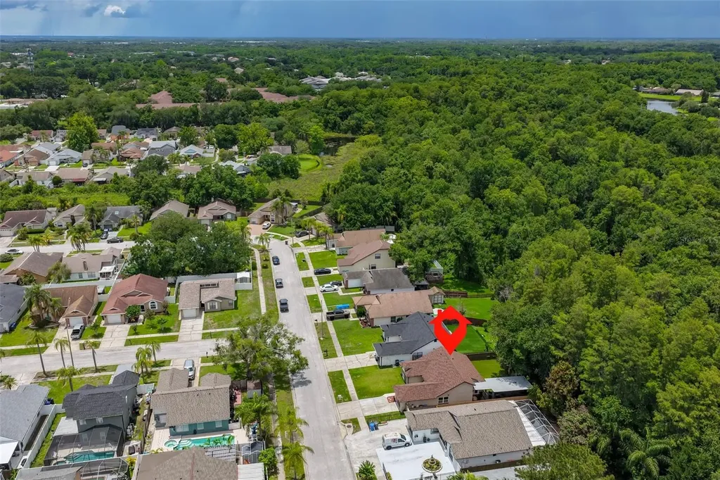 12832 Coverdale Drive Tampa FL 33624