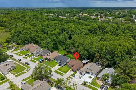12832 Coverdale Drive Tampa FL 33624