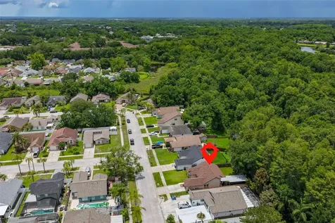 12832 Coverdale Drive Tampa FL 33624