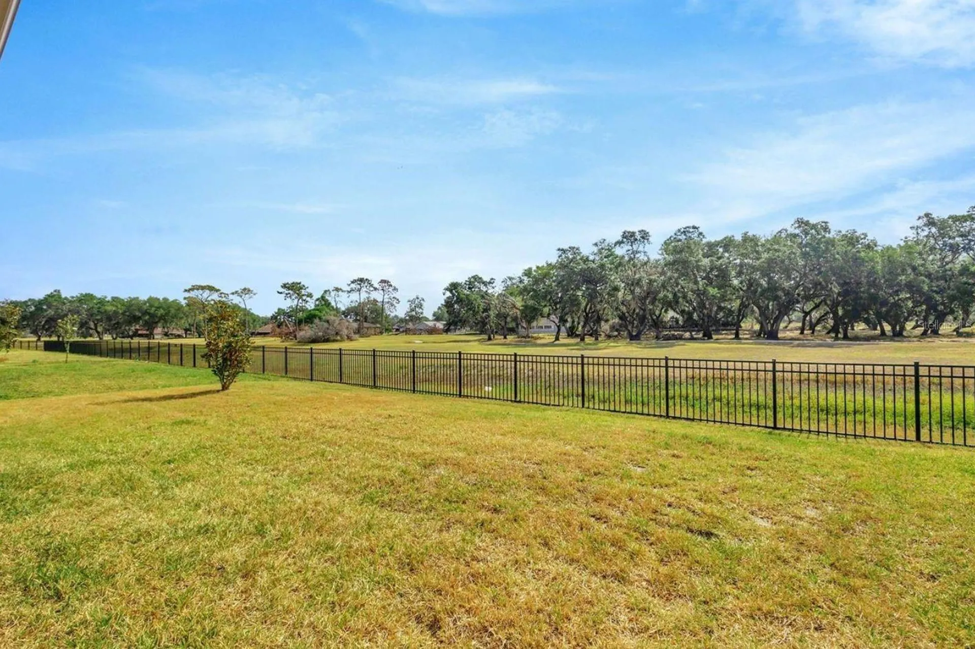 6398 Bradford Woods Drive Zephyrhills FL 33542