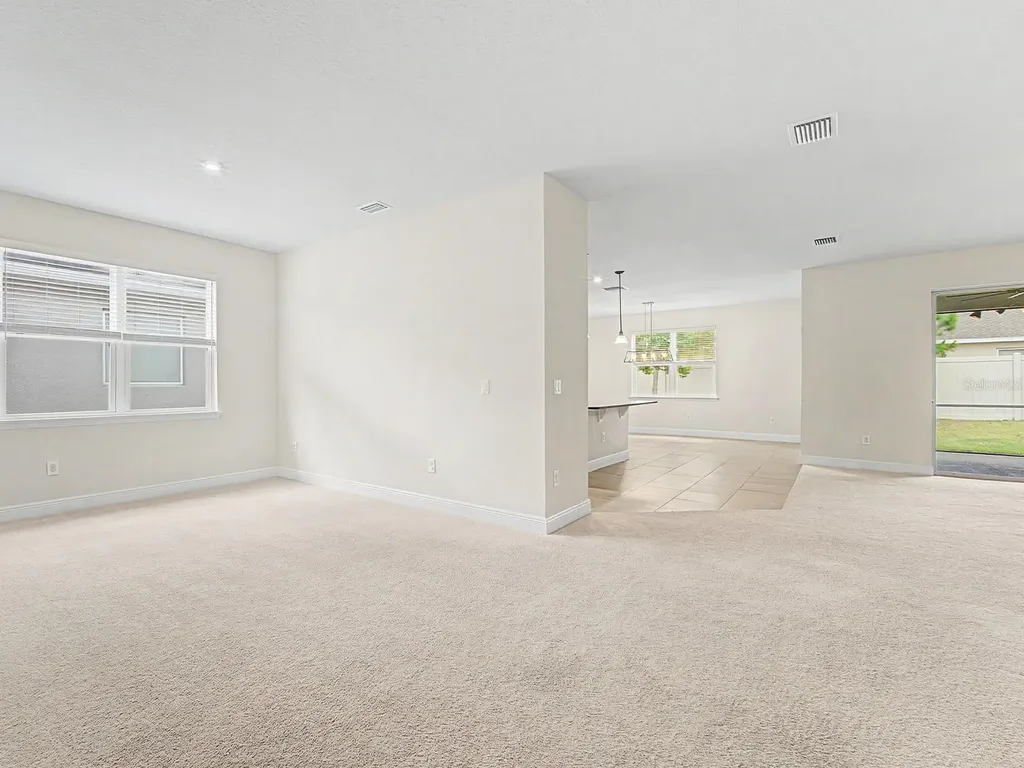 11626 Lake Lucaya Drive Riverview FL 33579