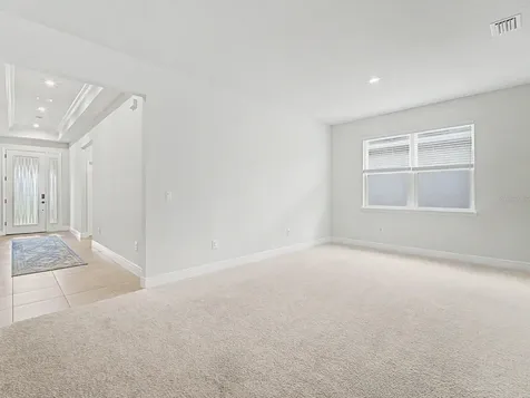 11626 Lake Lucaya Drive Riverview FL 33579