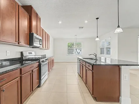 11626 Lake Lucaya Drive Riverview FL 33579