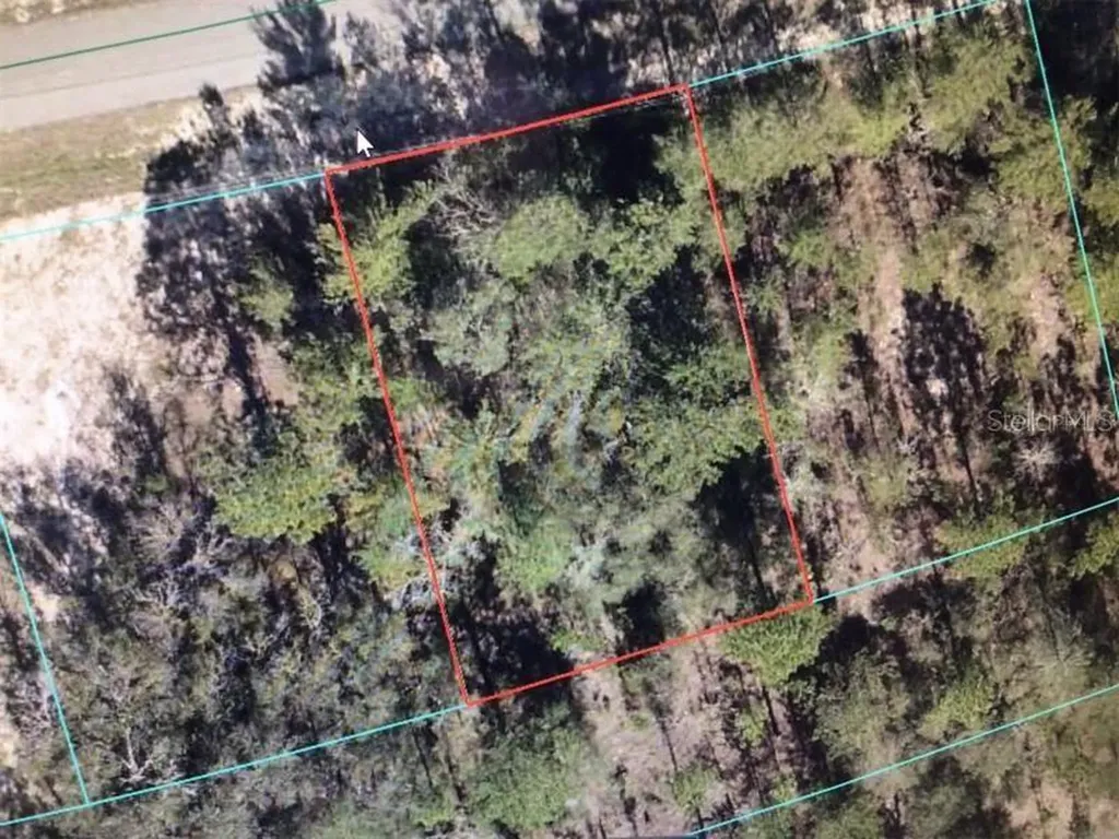 SW 153 Place Road Ocala FL 34473