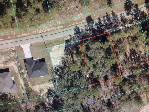 SW 153 Place Road Ocala FL 34473