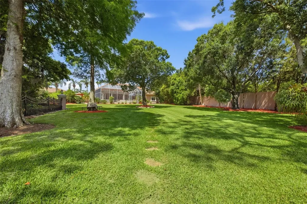 19115 Saint Emilion Court Lutz FL 33558