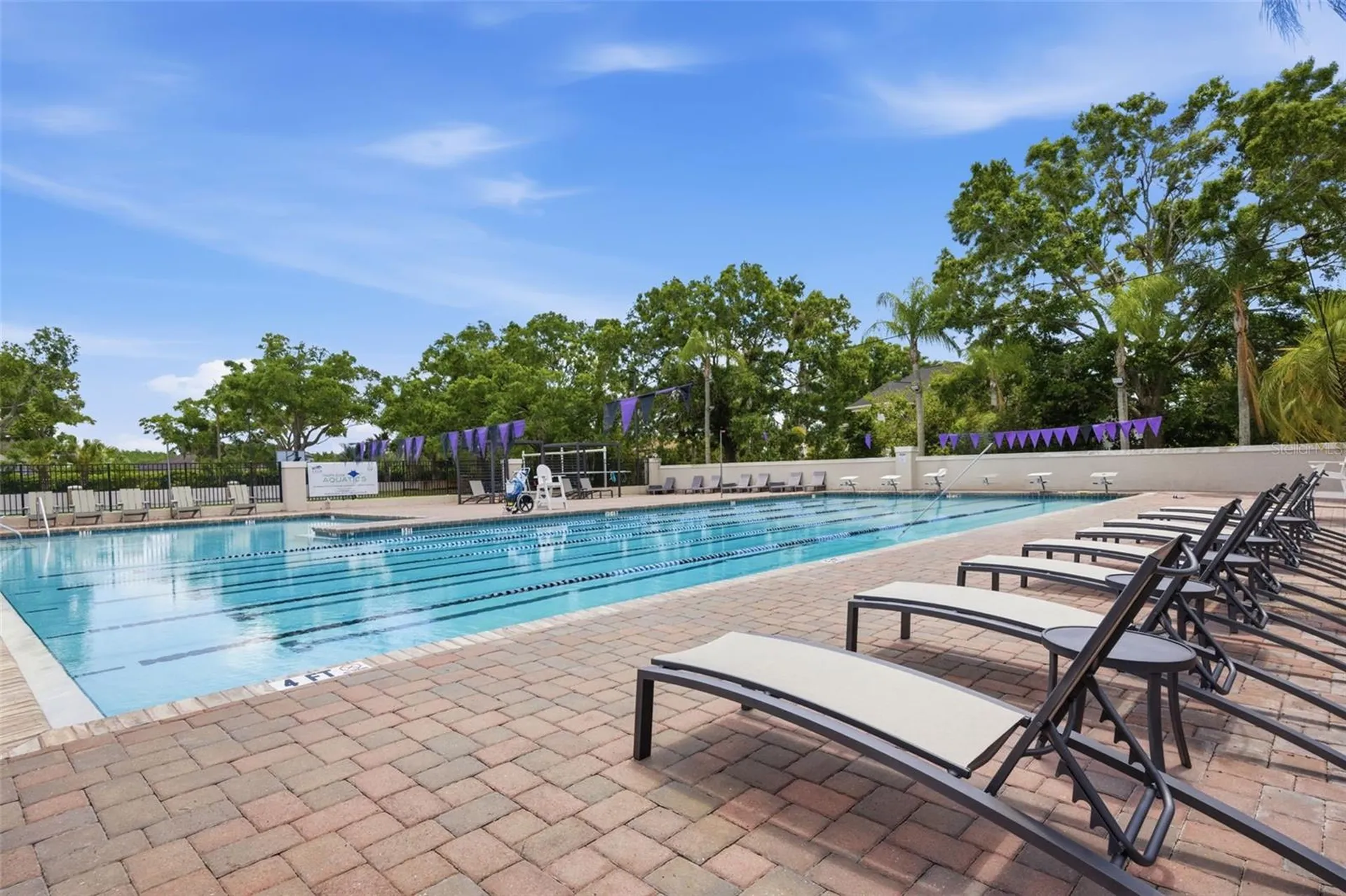 19115 Saint Emilion Court Lutz FL 33558
