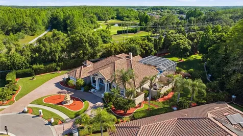 19115 Saint Emilion Court Lutz FL 33558
