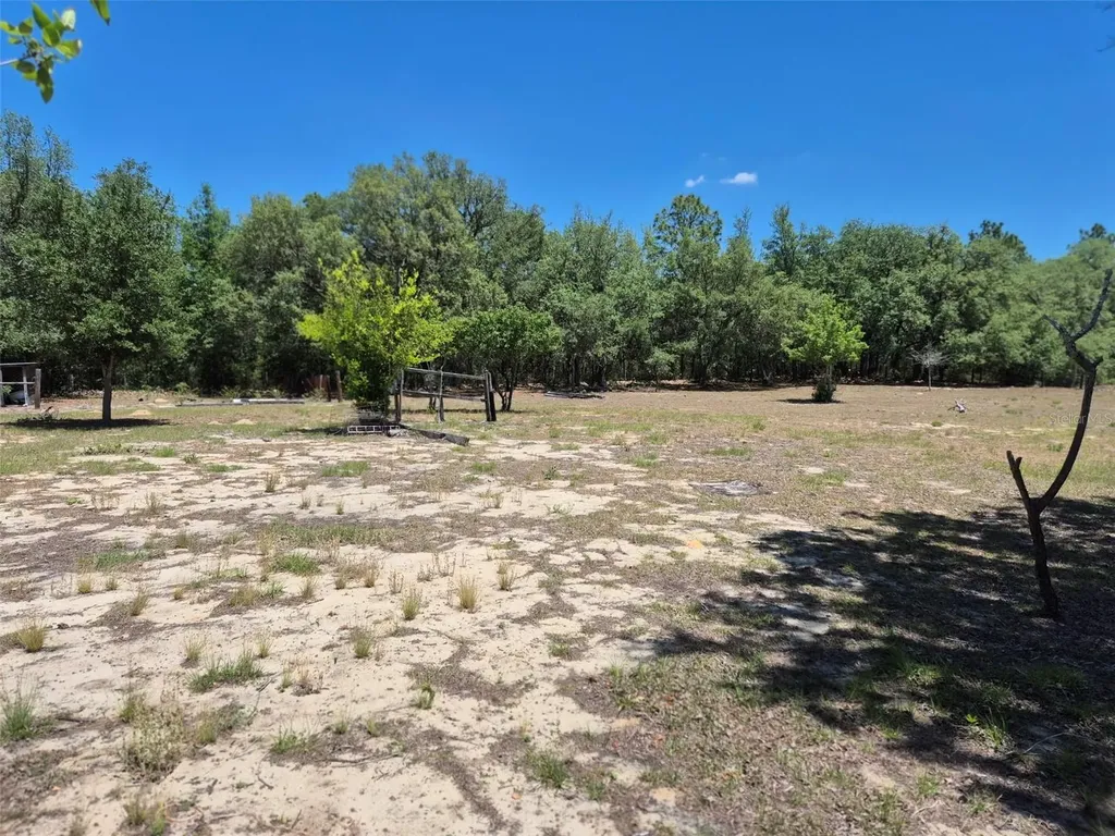 11651 NE 73rd Lane Bronson FL 32621