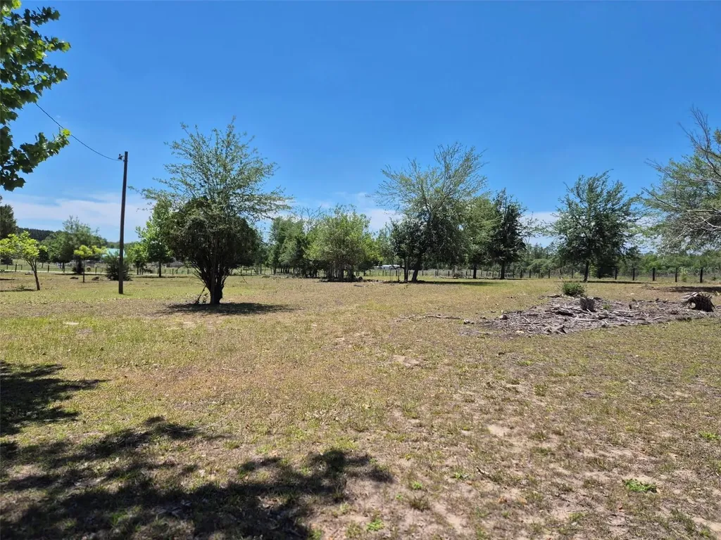 11651 NE 73rd Lane Bronson FL 32621